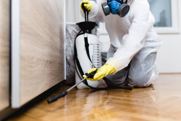 Pest Control for Restaurants in Clancy, MT