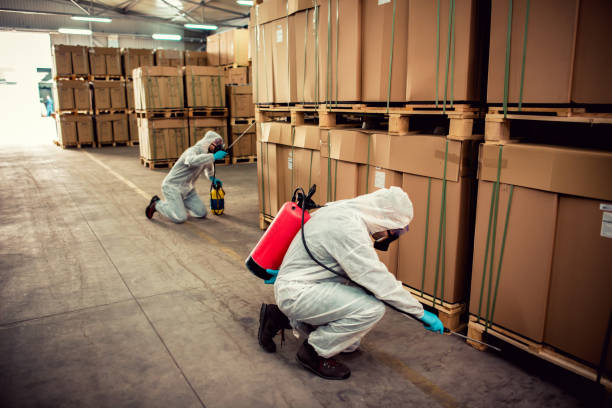 Best Best Pest Control Companies  in Clancy, MT
