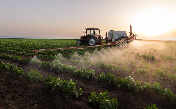Best Pest Control for Businesses  in Clancy, MT