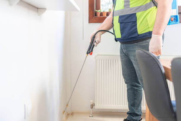 Reliable Clancy, MT Pest Control Solutions