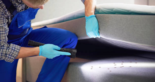 Best Local Pest Control Services  in Clancy, MT