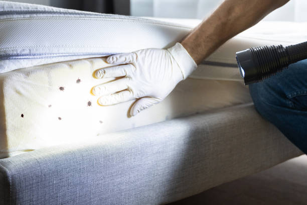 Best Pest Inspection Near Me  in Clancy, MT