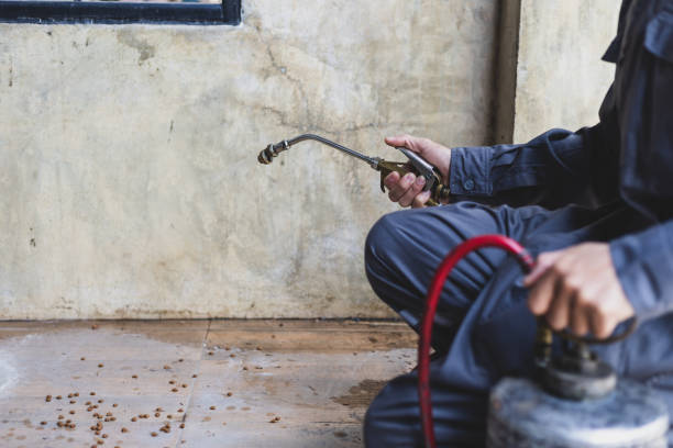 Best Local Pest Control Services  in Clancy, MT